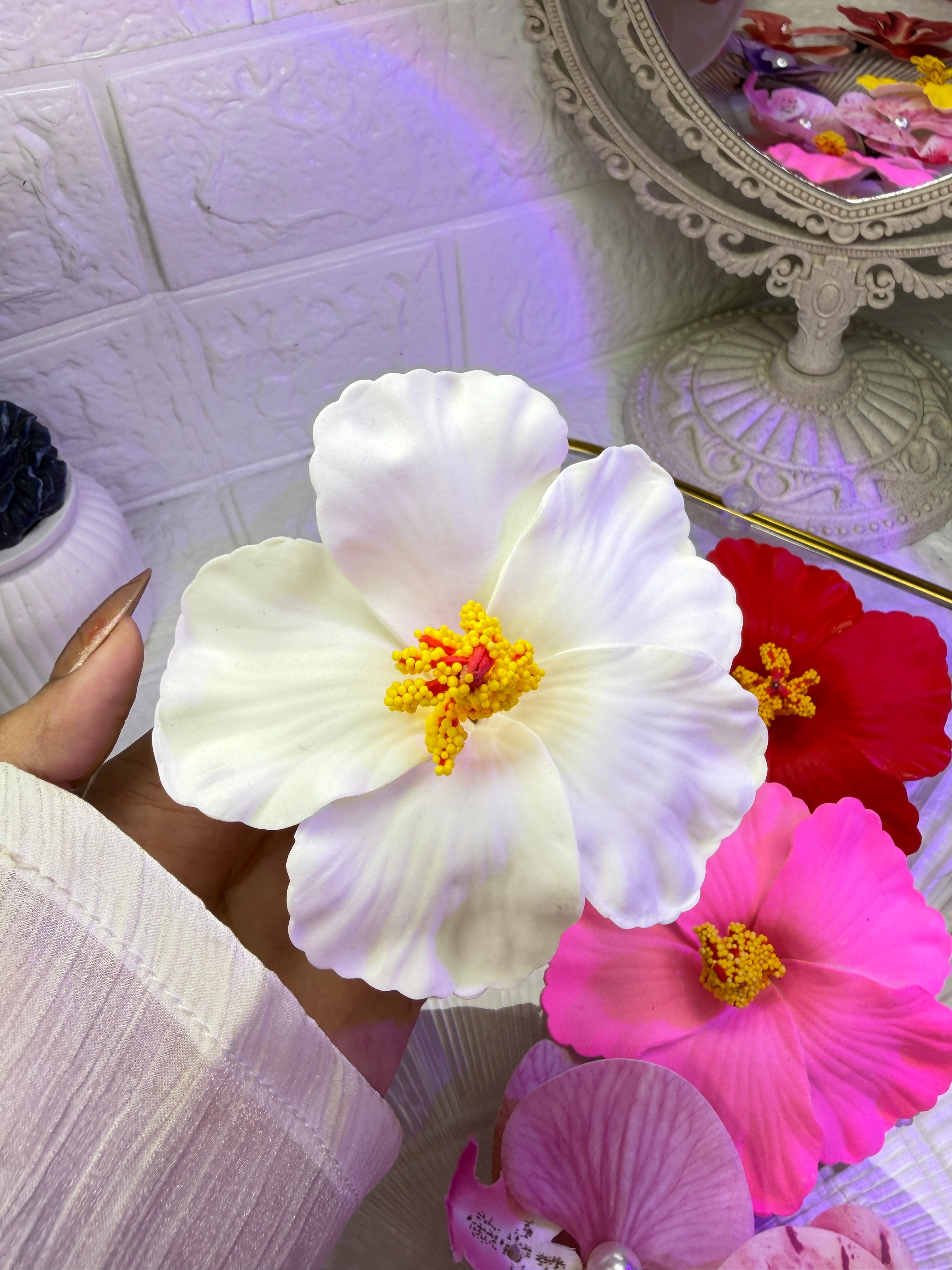 🌺hibiscus flower 🌺